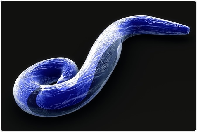 Plasmodium falciparum 3d illustration. Image Credit: Sciencepics/ Shutterstock