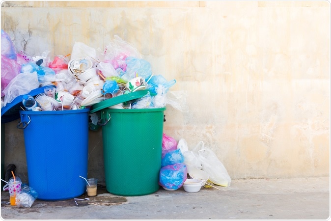 Image Credit: Fit Ztudio / Shutterstock