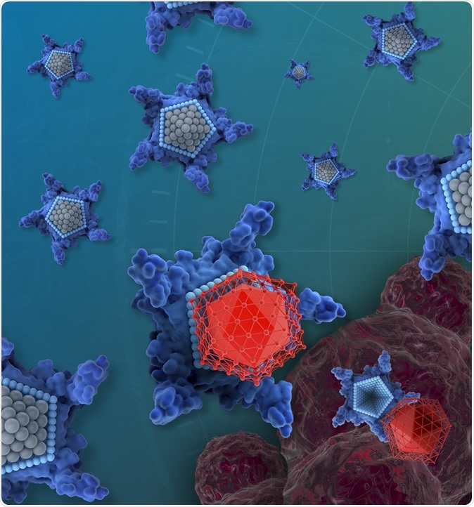 The drug candidate, called OxaliTEX, is made of two parts: a star-shaped molecule (blue) called texaphyrin that acts like a kind of delivery truck and a modified version of a platinum drug (red) that acts as a toxic package for cancer cells. Image Credit: iQ Group Global