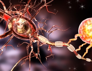 MIT researchers map dynamic fuzzy coat surrounding tau protein fibrils