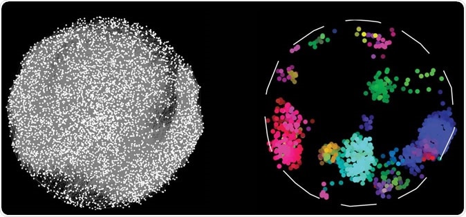 By charting pairwise interactions between 17,500 human proteins, scientists have created a map, on the left, depicting which proteins work together to sustain cellular function. Proteins with similar interactions profiles fall into discrete colour-coded clusters representing different bioprocesses in the cell. Image Credit: Katja Luck et al. / Shutterstock