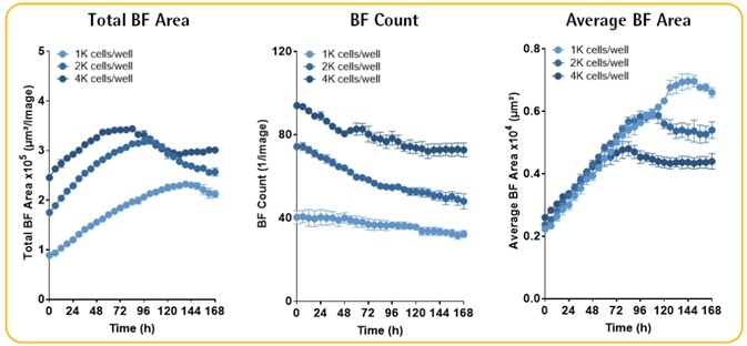 Multi-Spheroid 3D Tumor Assays Development for Live-Cell Analysis