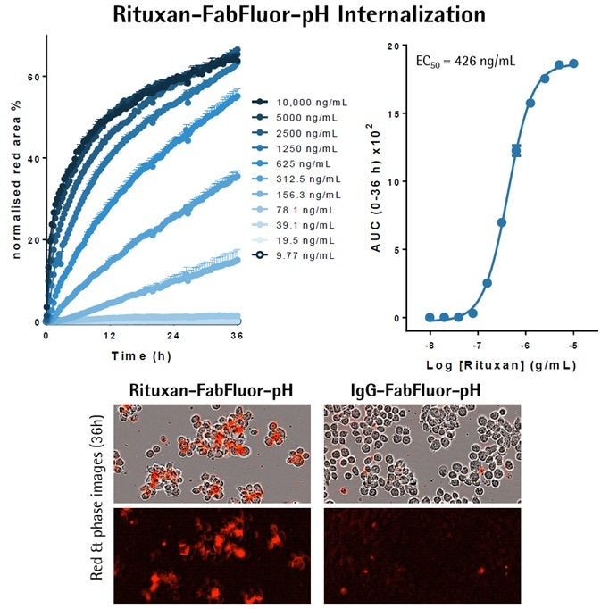 Cancer Drug Discovery Antibody Internalization Assays