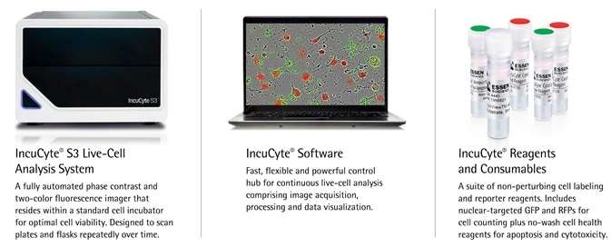IncuCyte® system for continuous live-cell analysis: Methodology