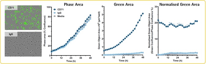 Validation: Non-perturbing, sustained, and specific labeling