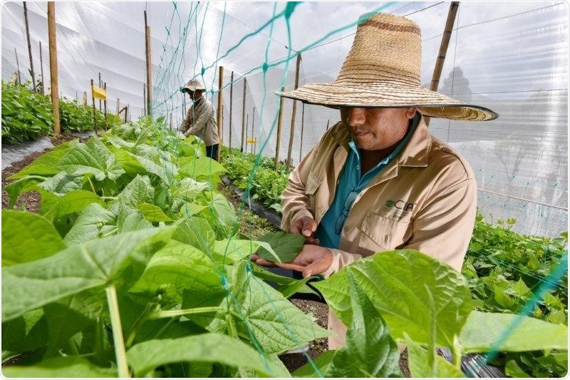 Alliance’s COVID-19 response: Taking actions to address increase in world hunger Alliance’s COVID-19 response: Taking actions to address increase in world hunger