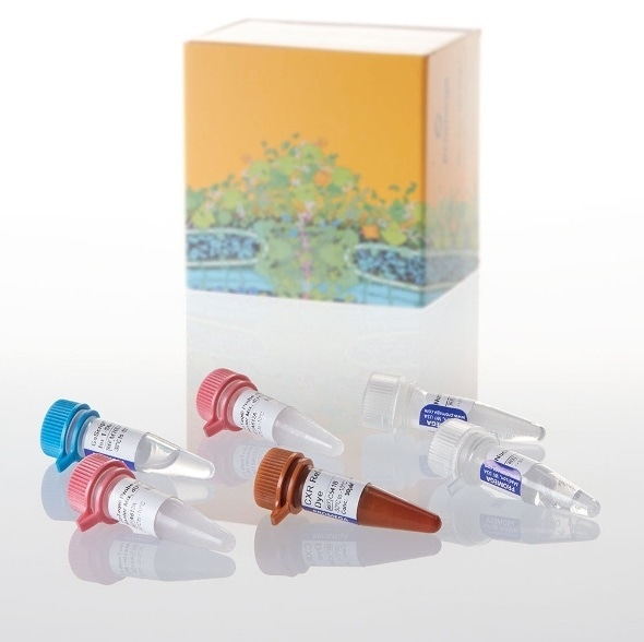 Promega GoTaq Probe 1-Step RT-qPCR System approved for use in CDC’s COVID-19 Emergency Use Authorization diagnostic panel