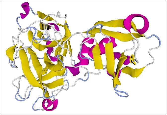Study: SARS-CoV-2 entry related genes are comparably expressed in children