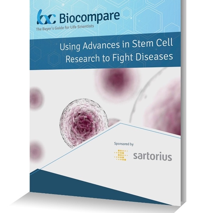 Fighting Disease with Developments to Stem Cell Research