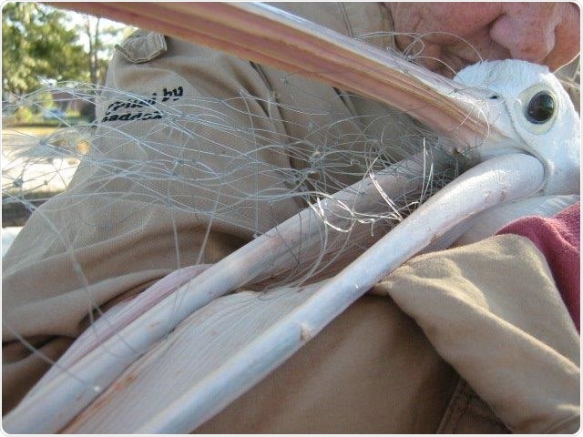 Research shows general mismatch between shorelines and seafloor