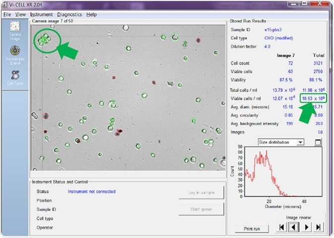 Counter set to count individual cells in clumps to 15 microns.