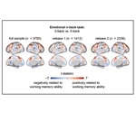 Brain activity reveals working memory capabilities of children