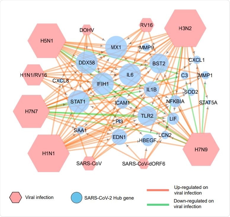 Association of COVID 19 hub genes with other respiratory viral infections. A network generated by use of Cytoscape depicts the expression of COVID-19 hub genes on infection by various respiratory viruses. The green arrows indicate down-regulation, and the red arrows show up-regulation of these genes.