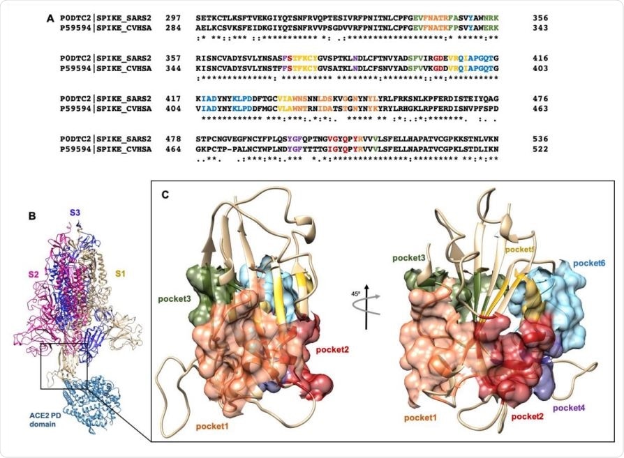 (A) Clustal Omega alignment of RBD regions of SARS-CoV and SARS-CoV-2 Spike protein. Residues bearing to different pockets are colored respectively yellow (Pocket 1), green (Pocket 2), light blue (Pocket 3), magenta (Pocket 4), red (pocket 5) and dark slate blue (Pocket 6). (B) Cartoon representation of the trimer of SARS-2 Spike protein in complex with the PD domain of ACE2. Complex obtained through the superposition of the PDB structures 6VSB and 6M0J. (C) Surface representation of the six selected pockets used for the screening.