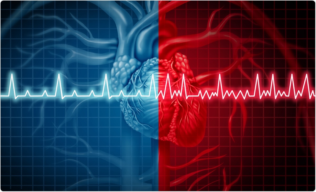 Image Credit: Lightspring / Shutterstock