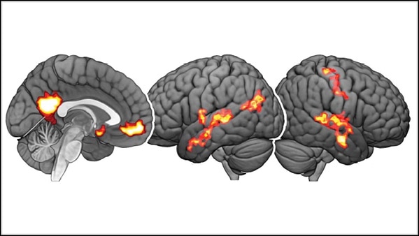 People can make better decisions when trying to avoid harm to others People can make better decisions when trying to avoid harm to others