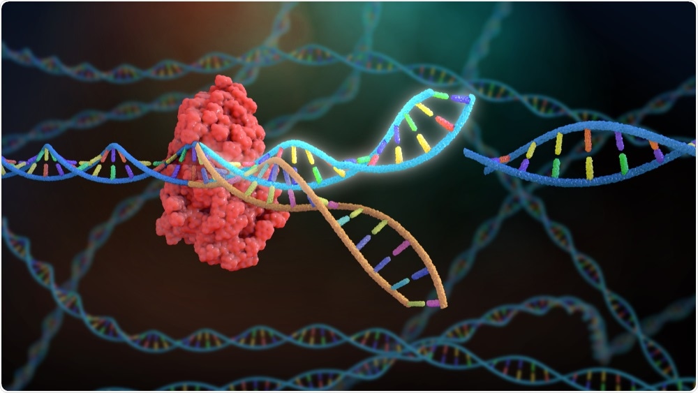 CRISPR/Gene Editing