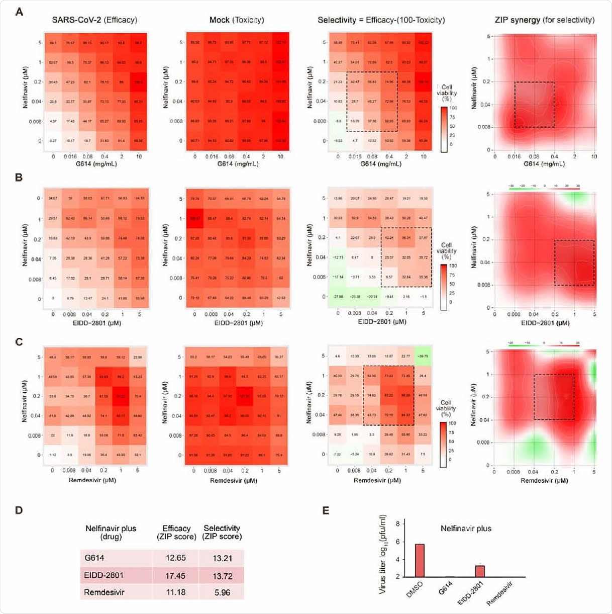 Combinations of nelfinavir with neutralizing antibody, EIDD-2801, or remdesivir rescue Calu-3 cells from SARS-CoV-2-mediated death and inhibit virus replication. (A-C) The interaction drug combination landscapes measured as 6x6 dose-response matrices using a CTG assay on SARS-CoV-2- and mock-infected cells (two left panels). The interaction landscape shows selectivity (efficacy-toxicity) and synergy for the drug combinations (right panels). (D) ZIP synergy scores calculated for efficacy and selectivity dose-response matrices for 3 drug combinations. (E) The effects of 1 μM nelfinavir plus 0,1% DMSO, 2 mg/mL G614, 1 μM EIDD-2801, or 1 μM remdesivir on viral replication measured by plaque reduction assay.