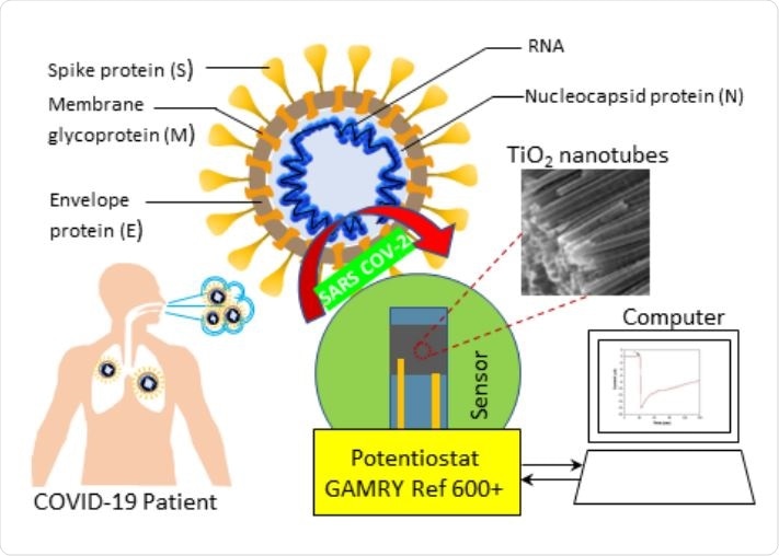 Schematic of Co functionalized TNT based sensing platform for the detection of SARS-CoV-2.