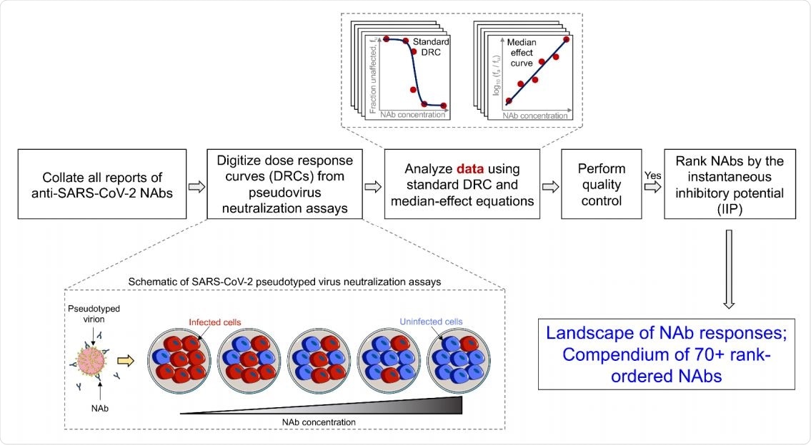 Schematic of the workflow to chart out the quantitative landscape of SARS CoV-2 NAbs.