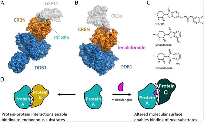 Molecular Glues