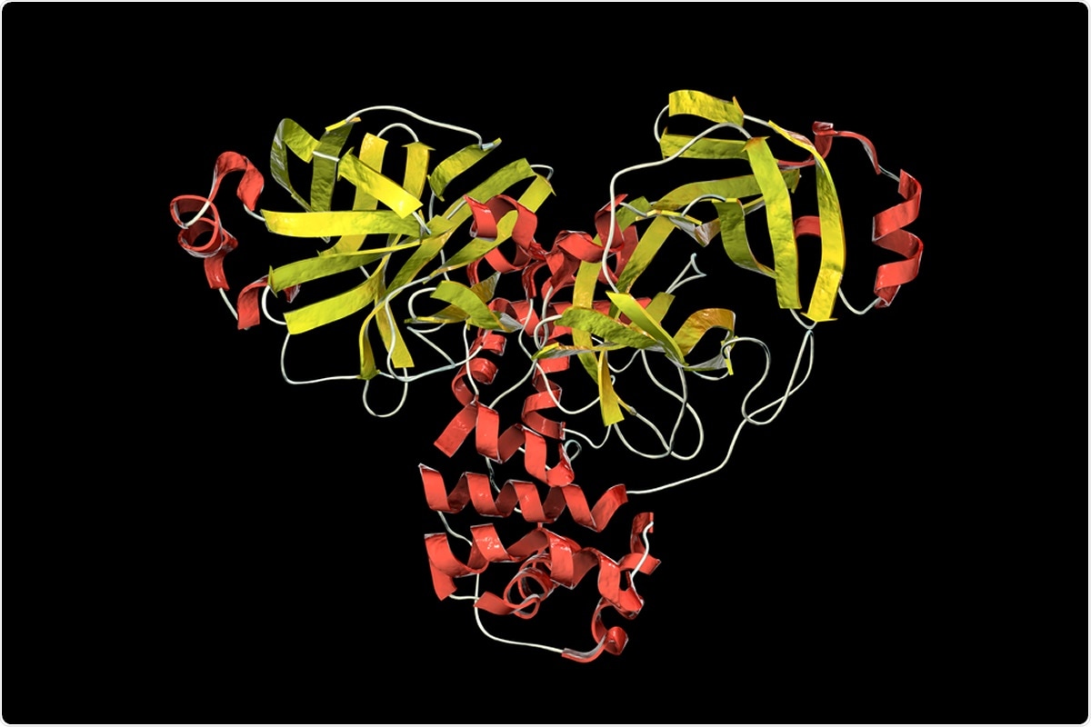 Molecule of SARS-CoV-2 coronavirus main protease, 3D illustration. Image Credit: Kateryna Kon / Shutterstock