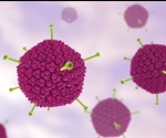 What are Adenovirus-Based Vaccines?