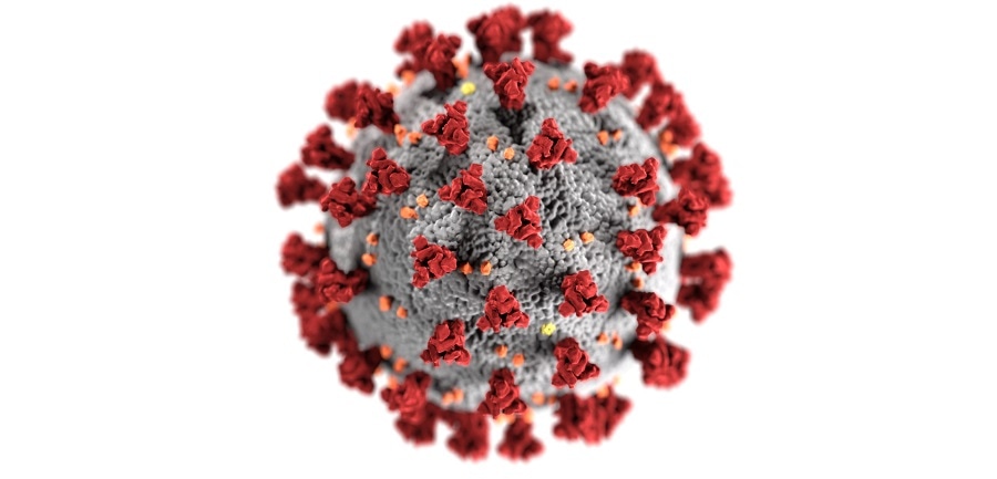 Fight for Sight partners with Diabetes UK to investigate link between eye disease and COVID-19 Fight for Sight partners with Diabetes UK to investigate link between eye disease and COVID-19