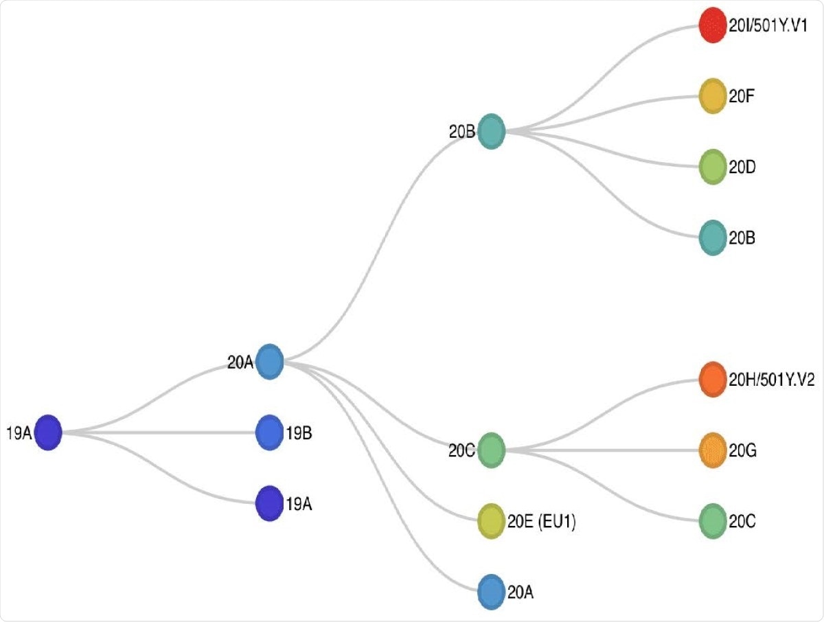 Phylogenetic classification of SARS-CoV-2 genomes. Phylogenetic analysis using 192 Los Angeles isolates and a global subsampling from May 2020 to January 2021 reveal a novel Southern California strain CAL.20C.