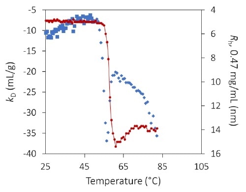 The diffusion interaction parameter kD, measured by dynamic light scattering, identifies the onset of protein unfolding and its impact on colloidal stability, before indications apparent in the hydrodynamic radius.