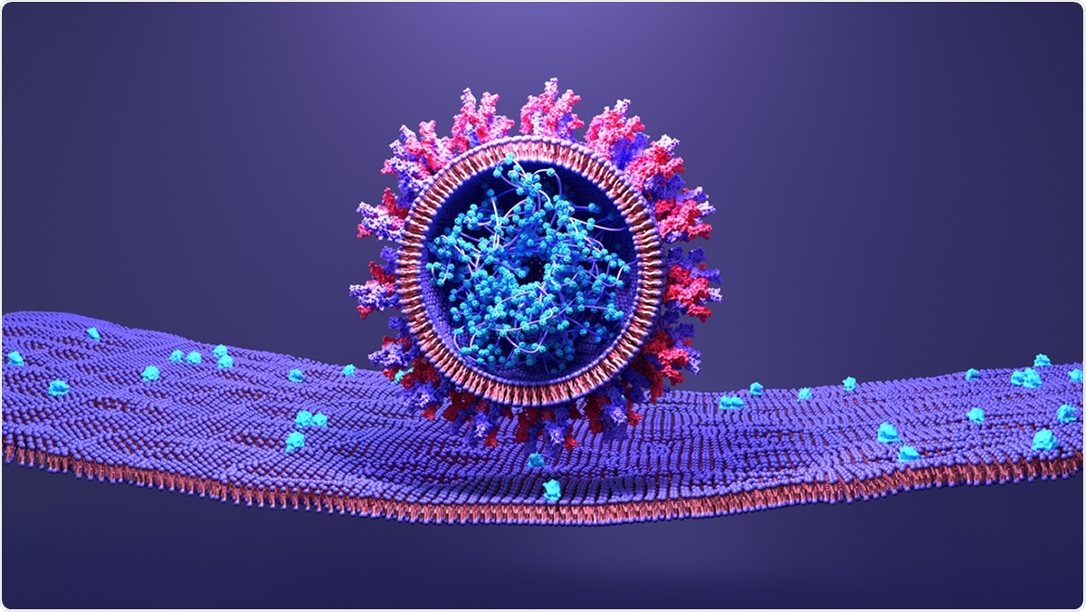 Study: Zinc supplement augments the suppressive effects of repurposed drugs of NF-kappa B inhibitor on ACE2 expression in human lung cell lines in vitr. Image Credit: Design_Cells / Shutterstock