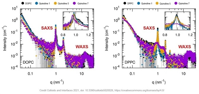 SAXS curves of empty and quinoline loaded phospholipid containing multilamellar vesicles (black curve is empty liposomes, orange, blue and purple curves are for different quinolines formulations). Insert is a zoom on the scattering peaks.