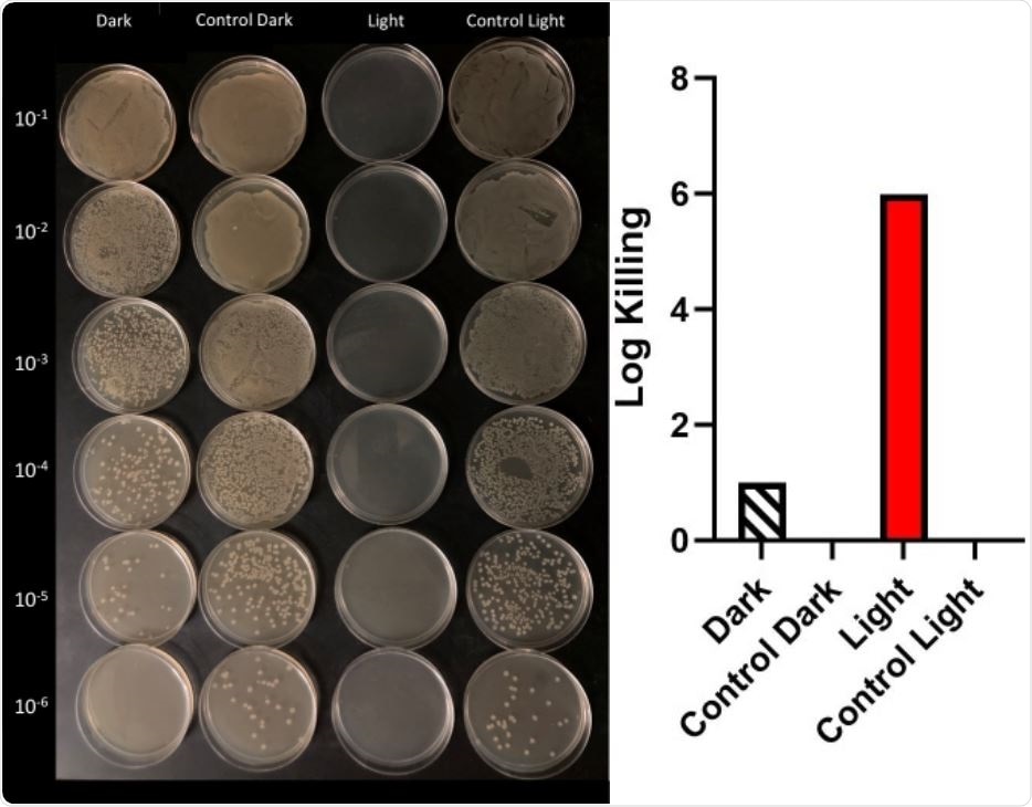 Cell counting of serial dilutions of E. coli. Under irradiation of 10 μg/mL of compound 1 with visible light and in dark (above, left) and graphical representations of log kills in dark and light. There was no killing on irradiation (Control Light) and dark control (Control Dark) samples.