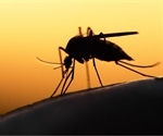 Study demonstrates safety and efficacy of a three-dose whole-parasite vaccine against malaria