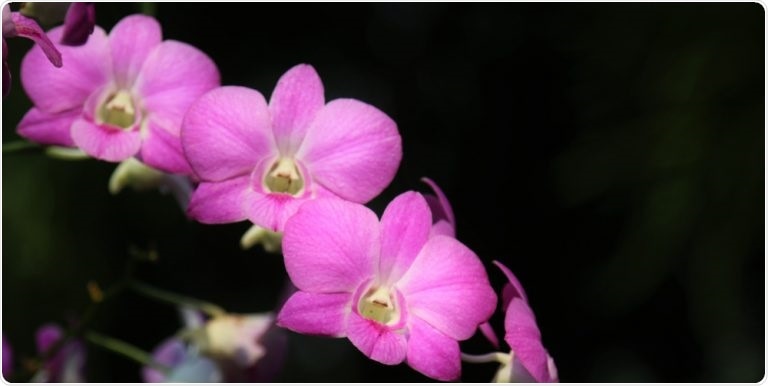 High-performance NMR technology for structural biology and materials research applications