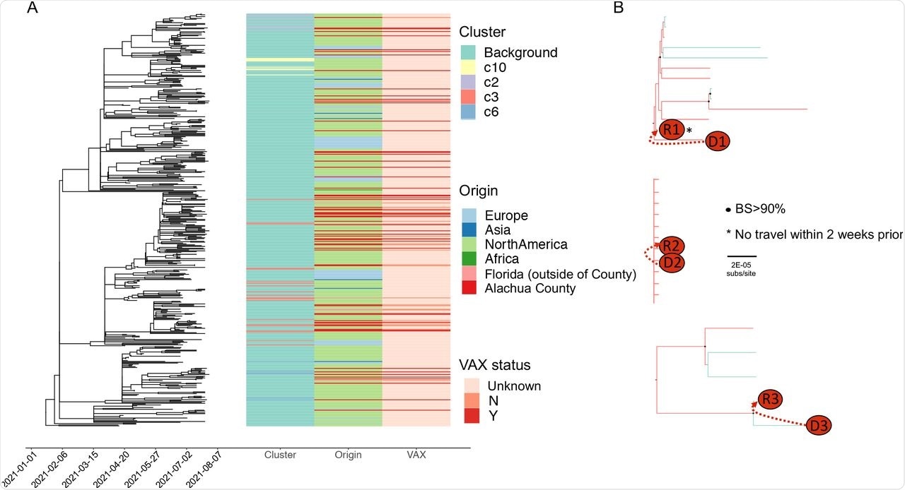 Phylogenetic reconstruction and transmission characterization of SARS-CoV-2 Delta sequences obtained from Alachua County, Florida, and epidemiologically relevant outside locations. (A) Phylogeny of sequences with heatmap depicting cluster origin, geographical origin, and vaccination status of each sampled sequence. (B) Phylogenetic relationships of sequences from donor(D)-recipient(R) pairs linked via exposure using contact tracing (branches are colored according to cluster origin). Bootstrap support (BS) within clades containing transmission pairs >90% are represented by black dots. Individuals with confirmed no known travel within 2 weeks prior to diagnosis are represented with asterisks. Branches are scaled in substitutions/site.
