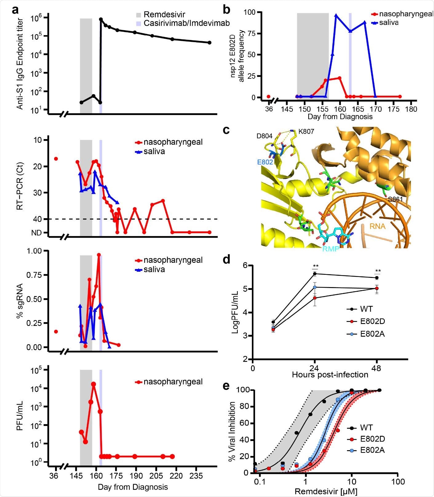 de novo emergence of remdesivir resistance mutation during and following treatment with the antiviral agent