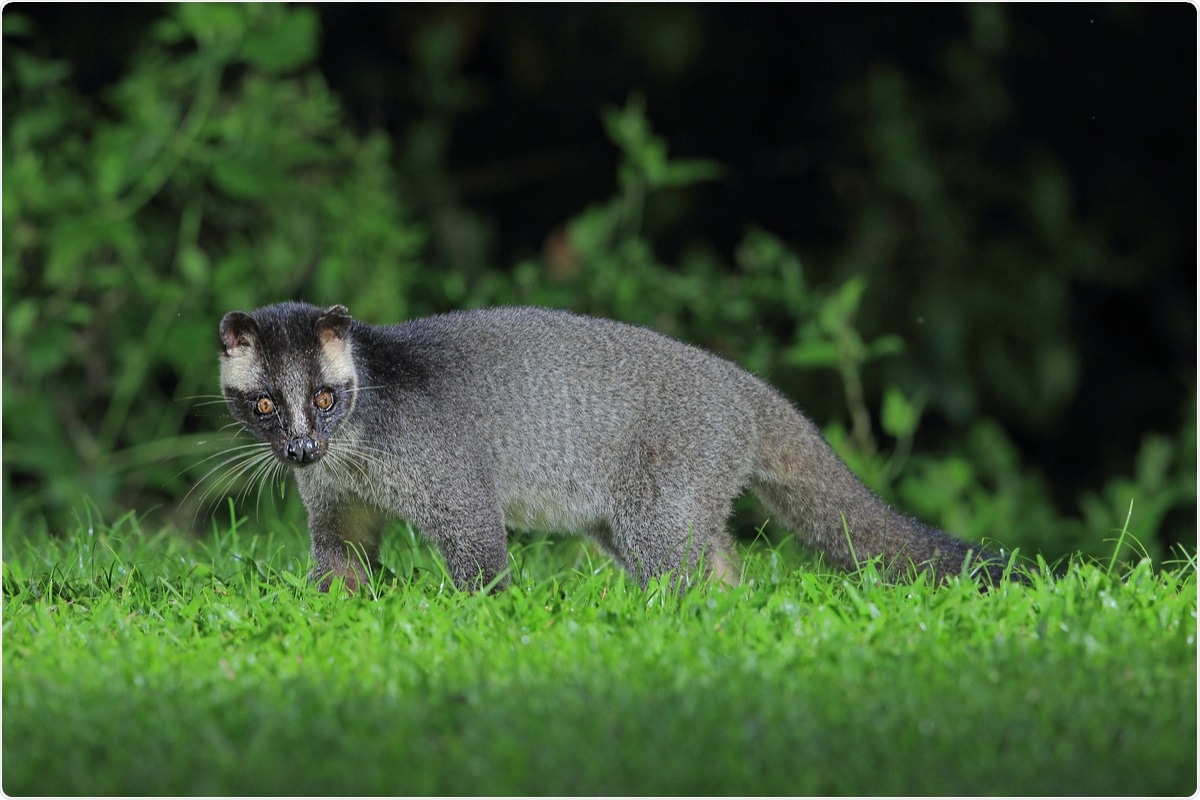 Study: Total virome characterizations of game animals in China reveals a spectrum of emerging viral pathogens. Image Credit: teekayu/ Shutterstock