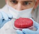 High quality products for cultured meat research