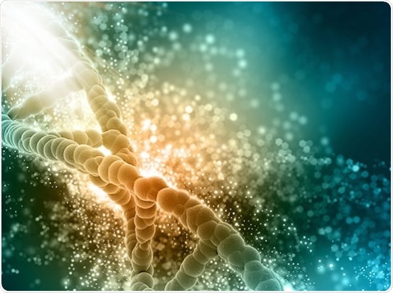 Services to accelerate genome editing research