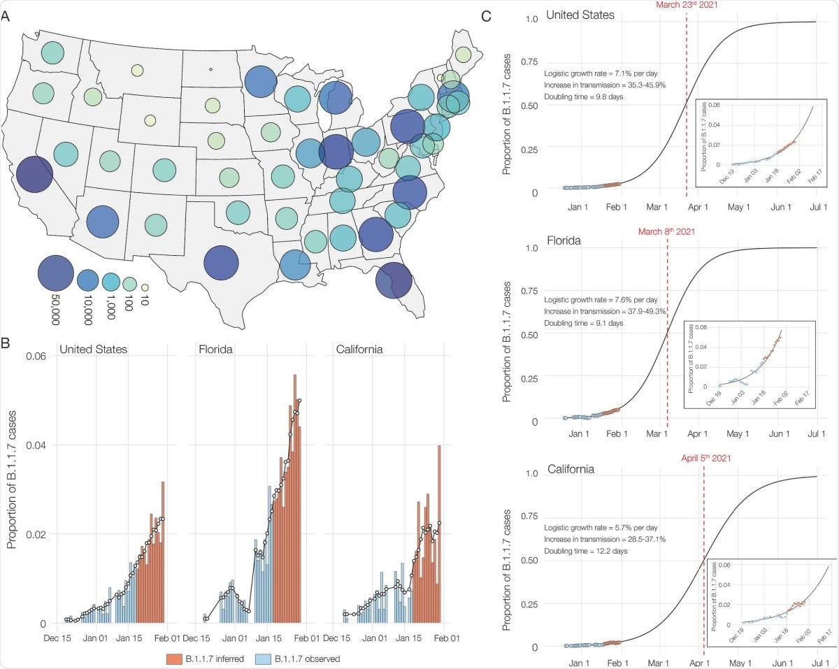Phylogenetic analysis of B.1.1.7 lineage in the USA. (A) Maximum clade credibility (MCC) tree of the time resolved phylogenetic analysis of B.1.1.7 sequences in the U.S. in the context of sequences sampled globally. The gradient represents uncertainty in the tree topology. Clades that consist primarily of sequences sampled in the U.S. supported by a basal node with posterior probability =0.98 are colored in blue. The closest ancestral node to each clade with a posterior probability = 0.98 is highlighted in black. (B) The color scheme of terminal nodes sampled in the MCC tree. Sequences sampled outside the U.S. are colored in light gray. States with no B.1.1.7 sequence sampling in the dataset are shown in white. (C) The TMRCA of each clade highlighted in the MCC tree. (D) The proportion of the geographic sampling of sequences within each clade (singletons have been excluded, including those in Texas, Pennsylvania, and Massachusetts). The colors follow the same scheme as shown in panel B.
