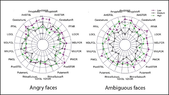 Research shows link between puberty testosterone levels and the brain’s response to faces