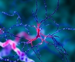 What is Neurodegeneration?