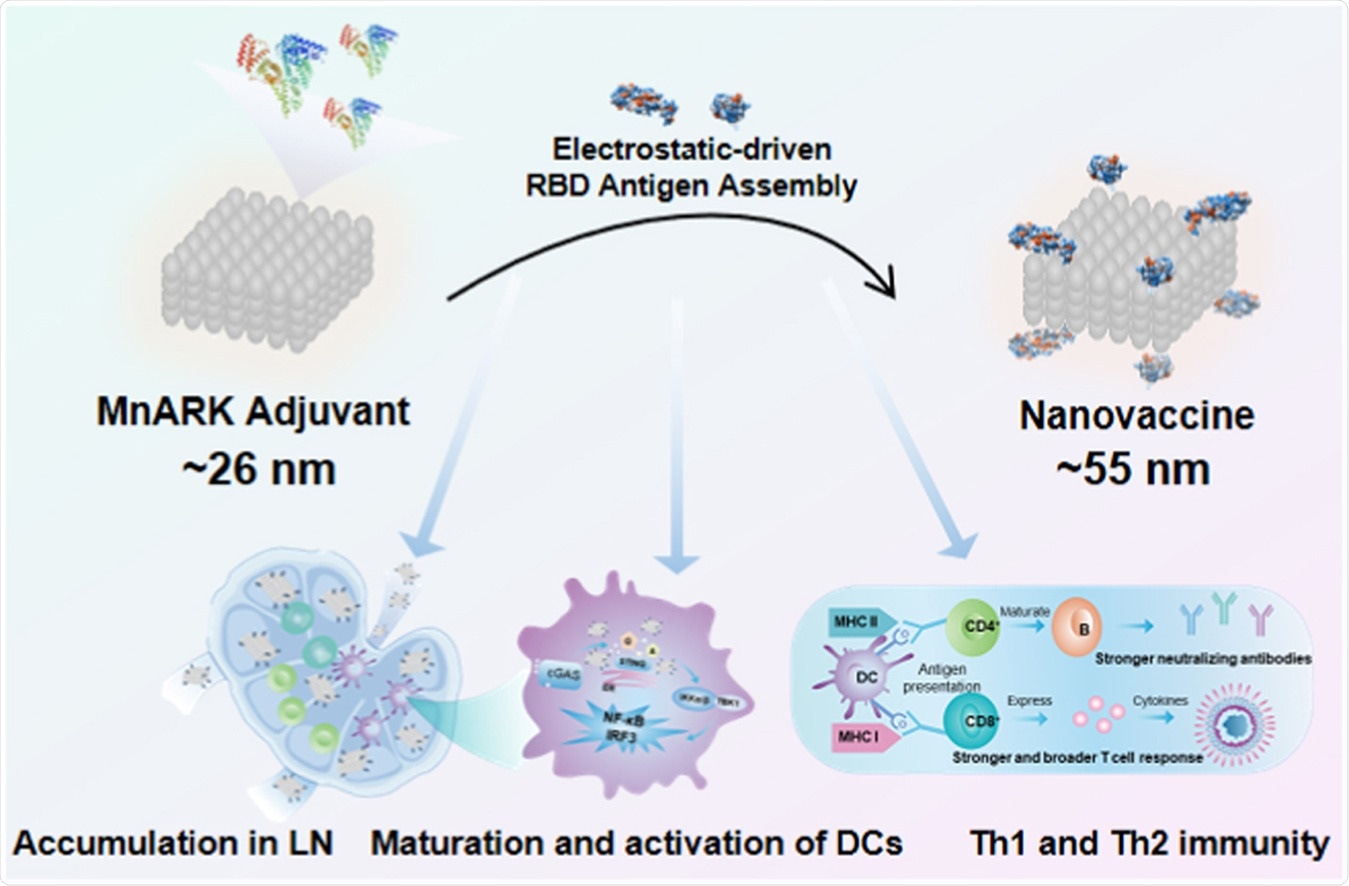 Graphical Abstract. Image Credit: Nanotoday / ScienceDirect