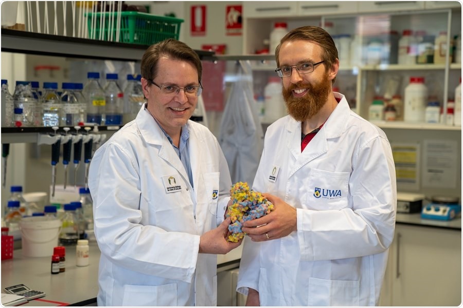 Scientists identify a new way to increase enzymes’ life span