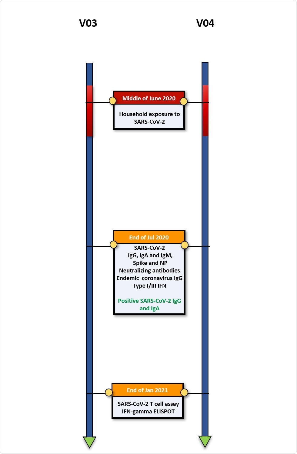 Timeline of clinical events, diagnostic results and blood draws for comprehensive immunological assessment. Pair 2.