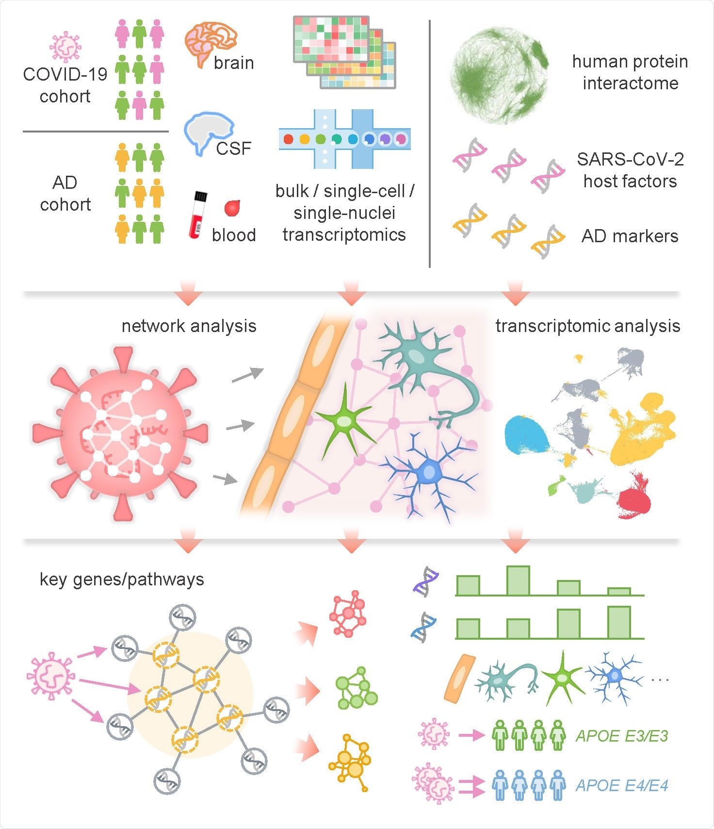 Network-based multimodal omics analytic methodology