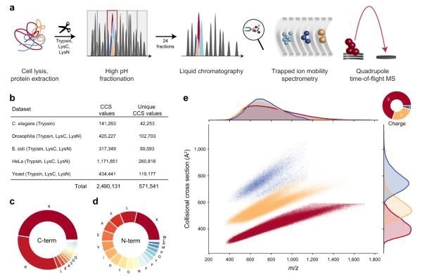 Bruker announces new results in deep, unbiased plasma proteomics, PaSER 1.1 software and new cross-linking consumables at US HUPO 2021