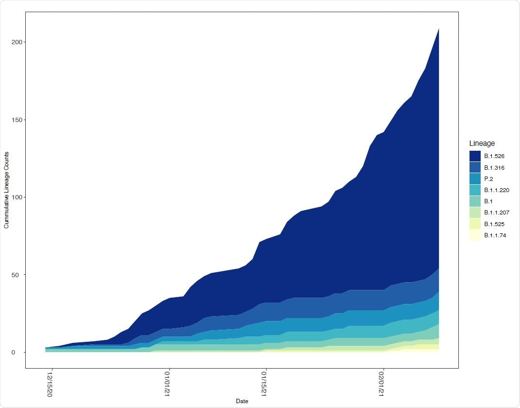 Relative frequency of SARS-CoV-2 lineages with E484K mutations in New York State. The number of SARS CoV-2 genomes assigned to lineages containing E484K as a function of time. The lineages included contained at least one genome with an E484K mutation in the New York State dataset.