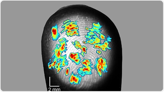 Research shows how humans have sensitive and accurate sense of touch Research shows how humans have sensitive and accurate sense of touch